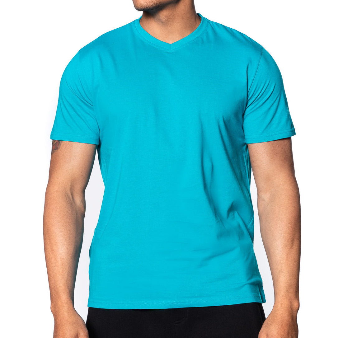 Fitted V-Neck T-Shirt