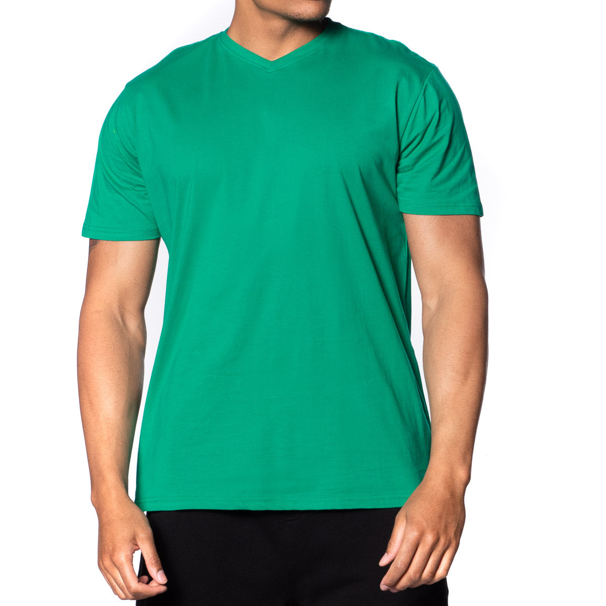 Fitted Vee Neck T-Shirt - Colors