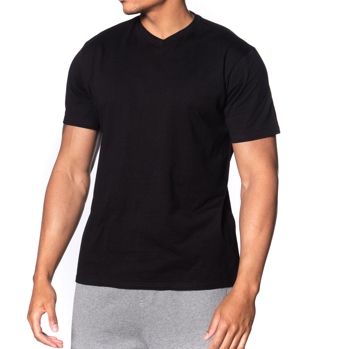 Fitted Vee Neck T-Shirt - Basics