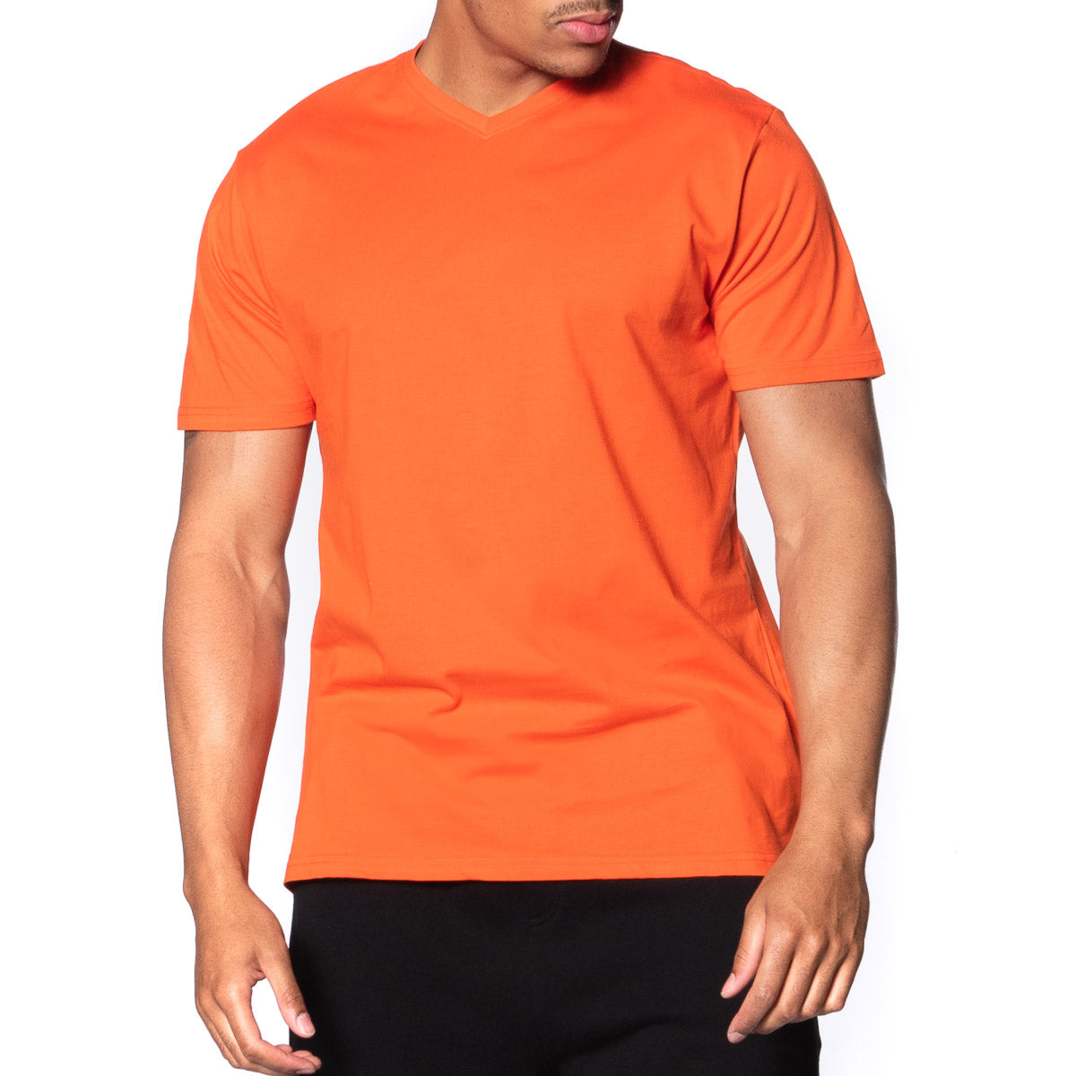 Fitted Vee Neck T-Shirt - Colors